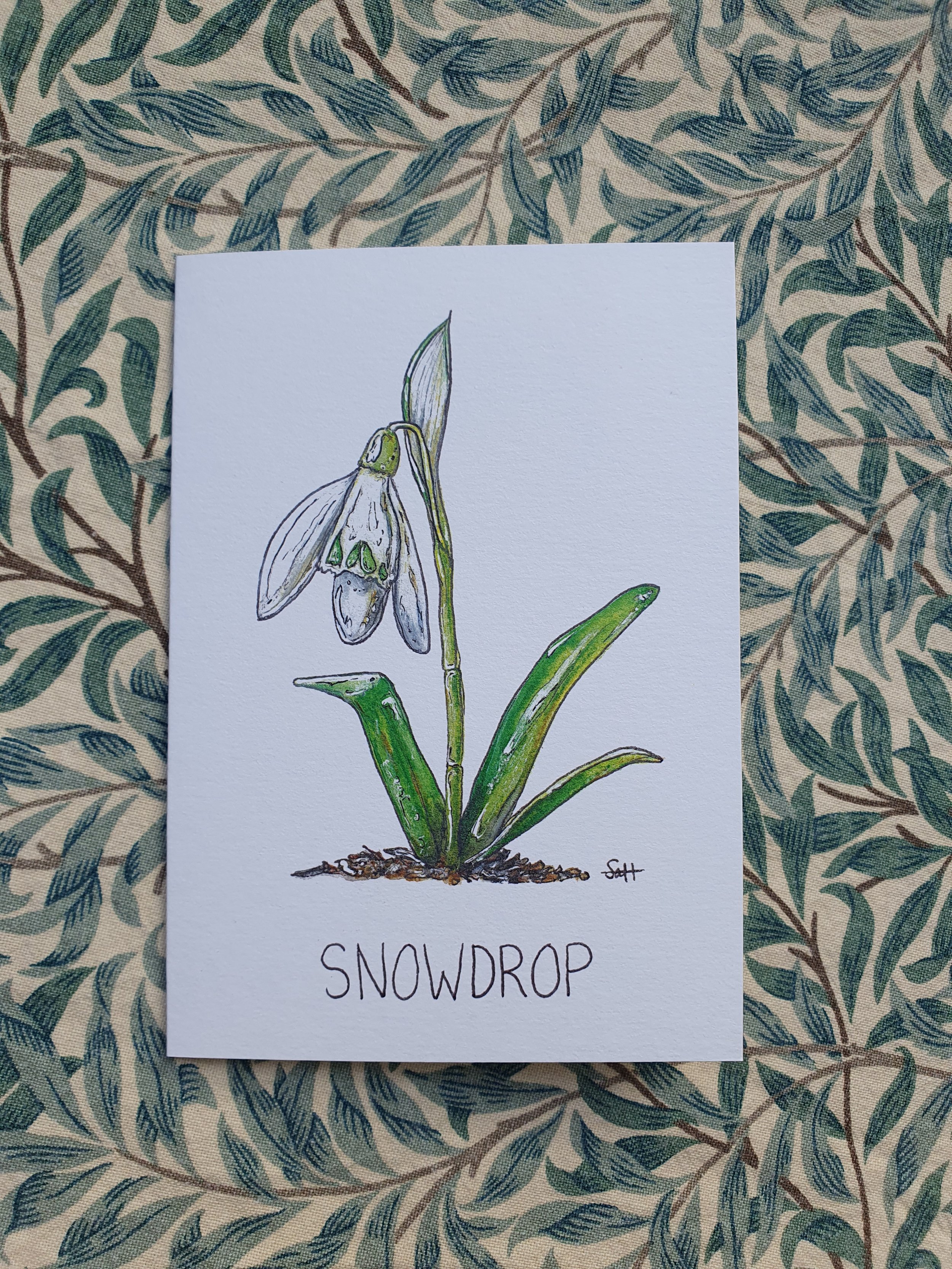 Snowdrop Greetings Card
