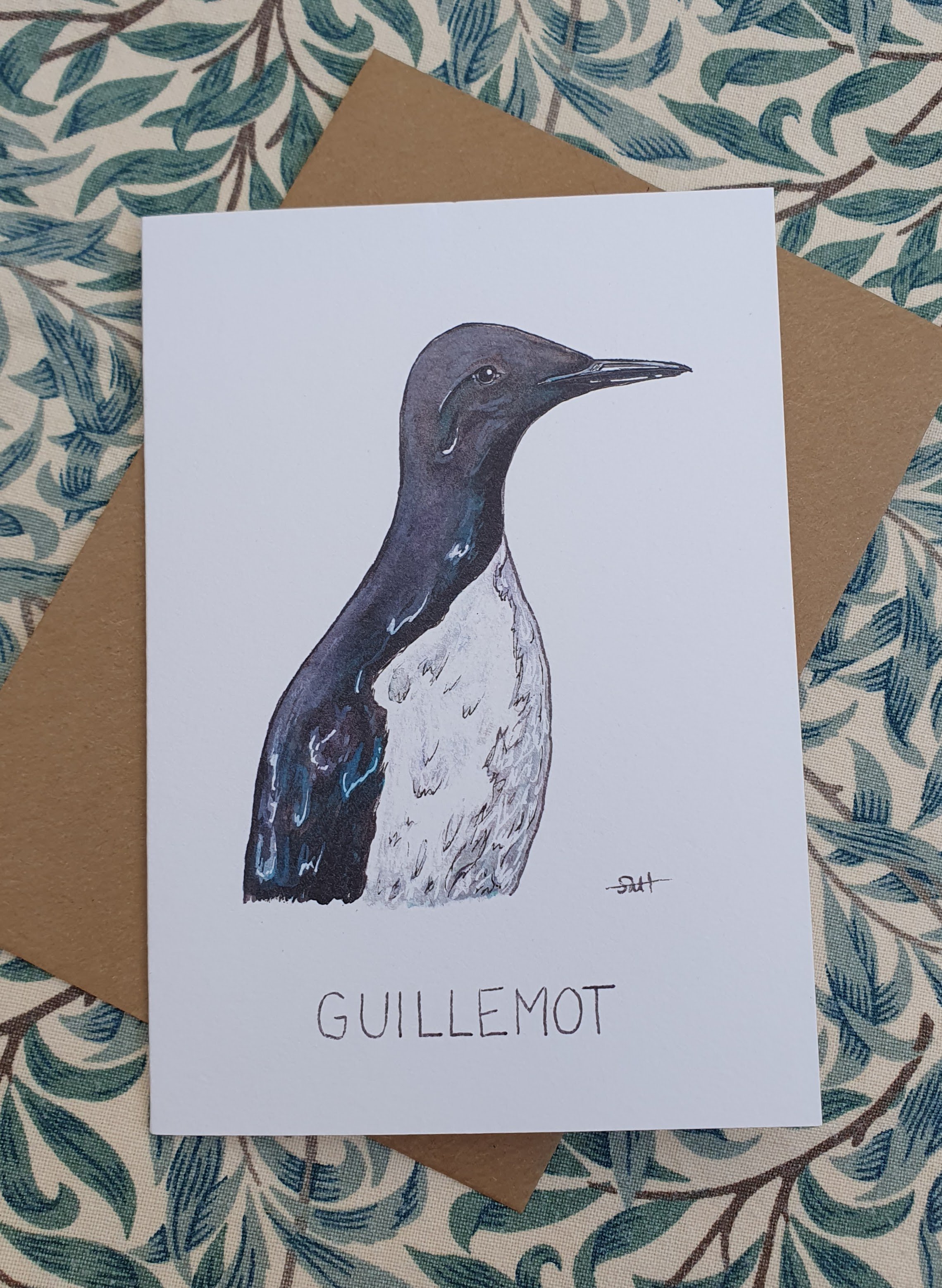 Guillemot Greetings Card