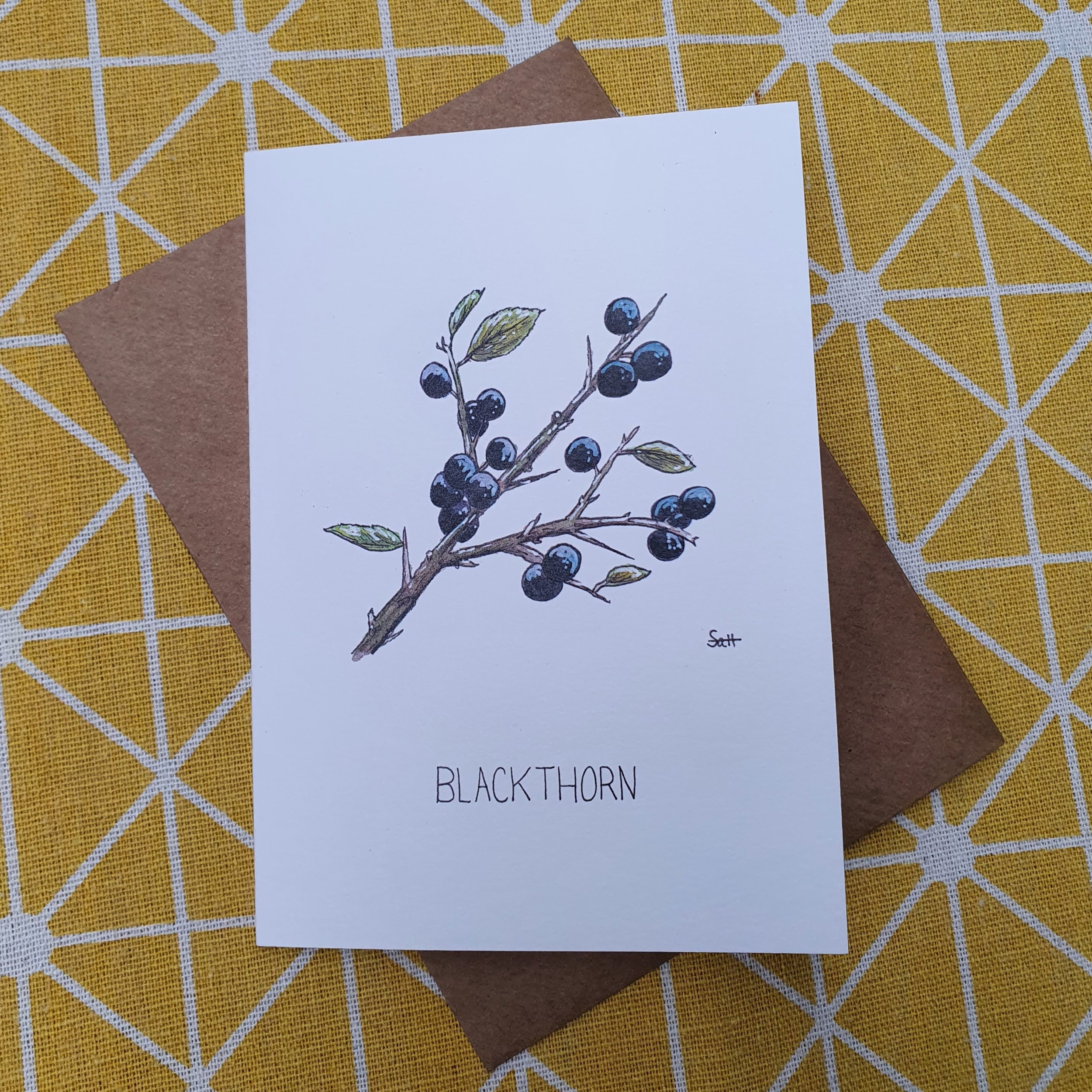 Blackthorn Greetings Card