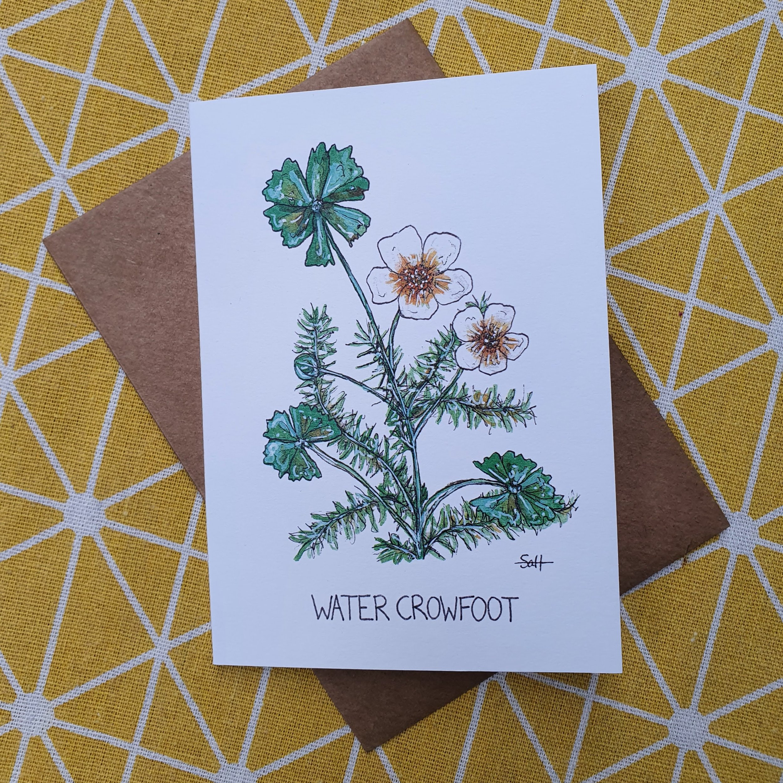 Water Crowfoot Greetings Card
