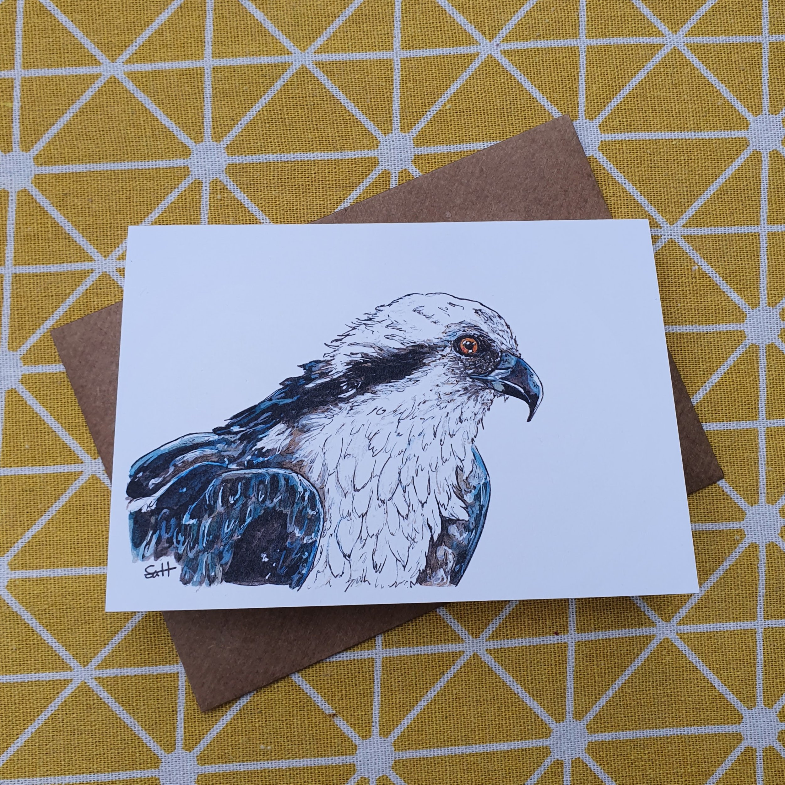 Osprey Greetings Card