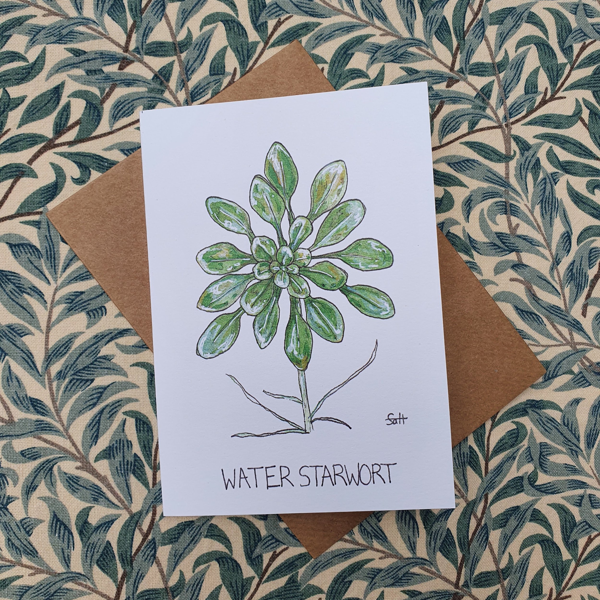 Water Starwort Greetings Card