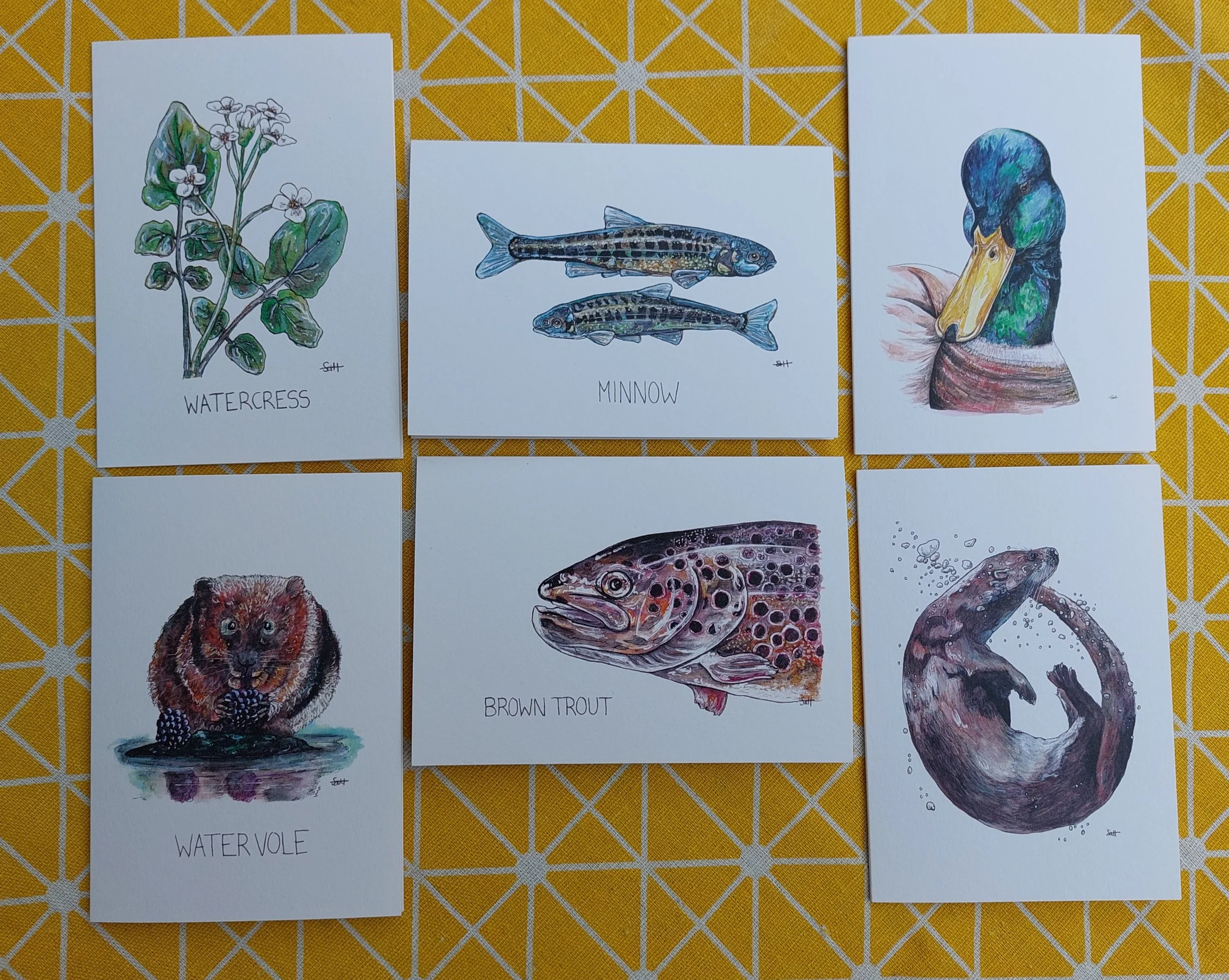 Rivers & Streams Greetings Cards Selection Pack