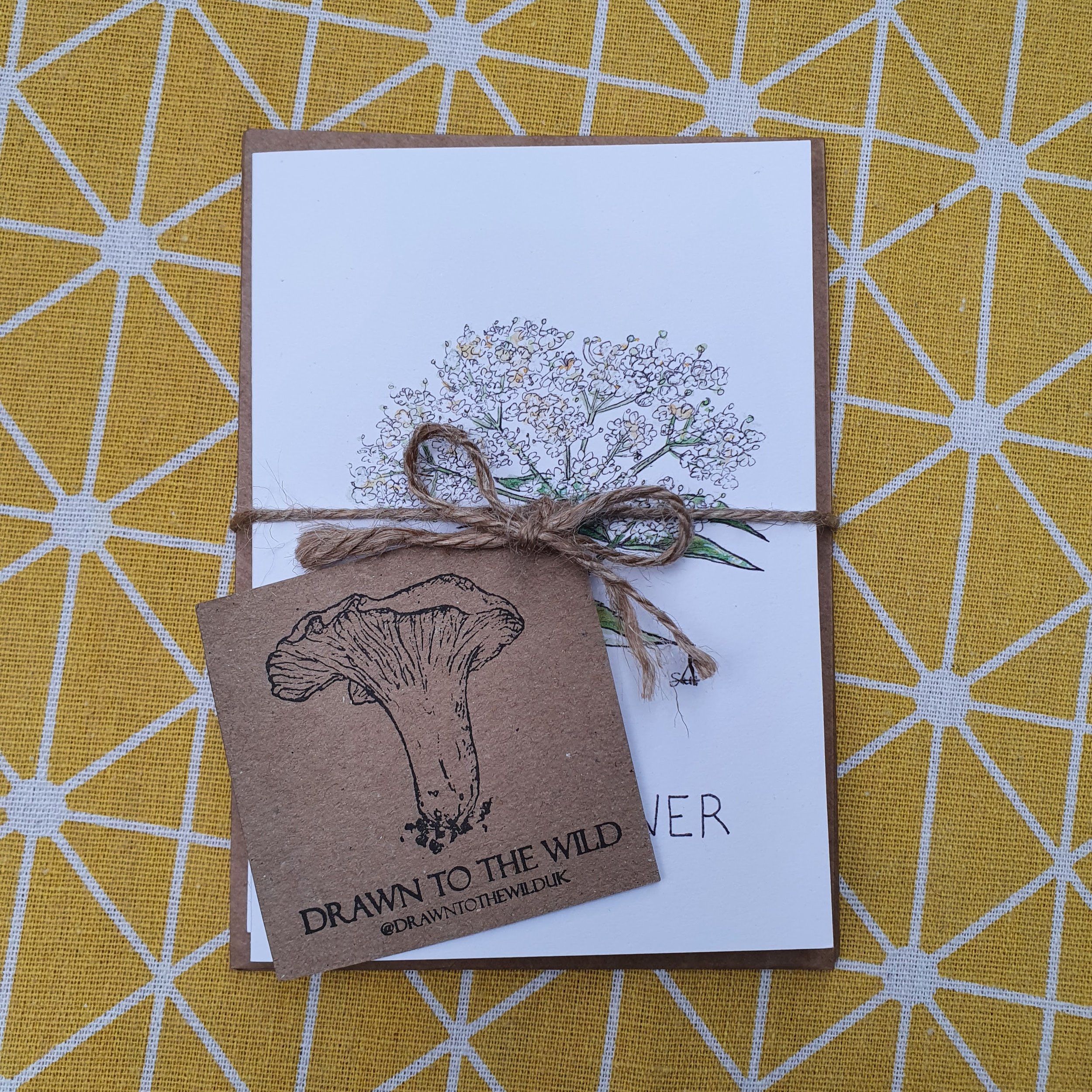 Foraging Greetings Cards Selection Pack
