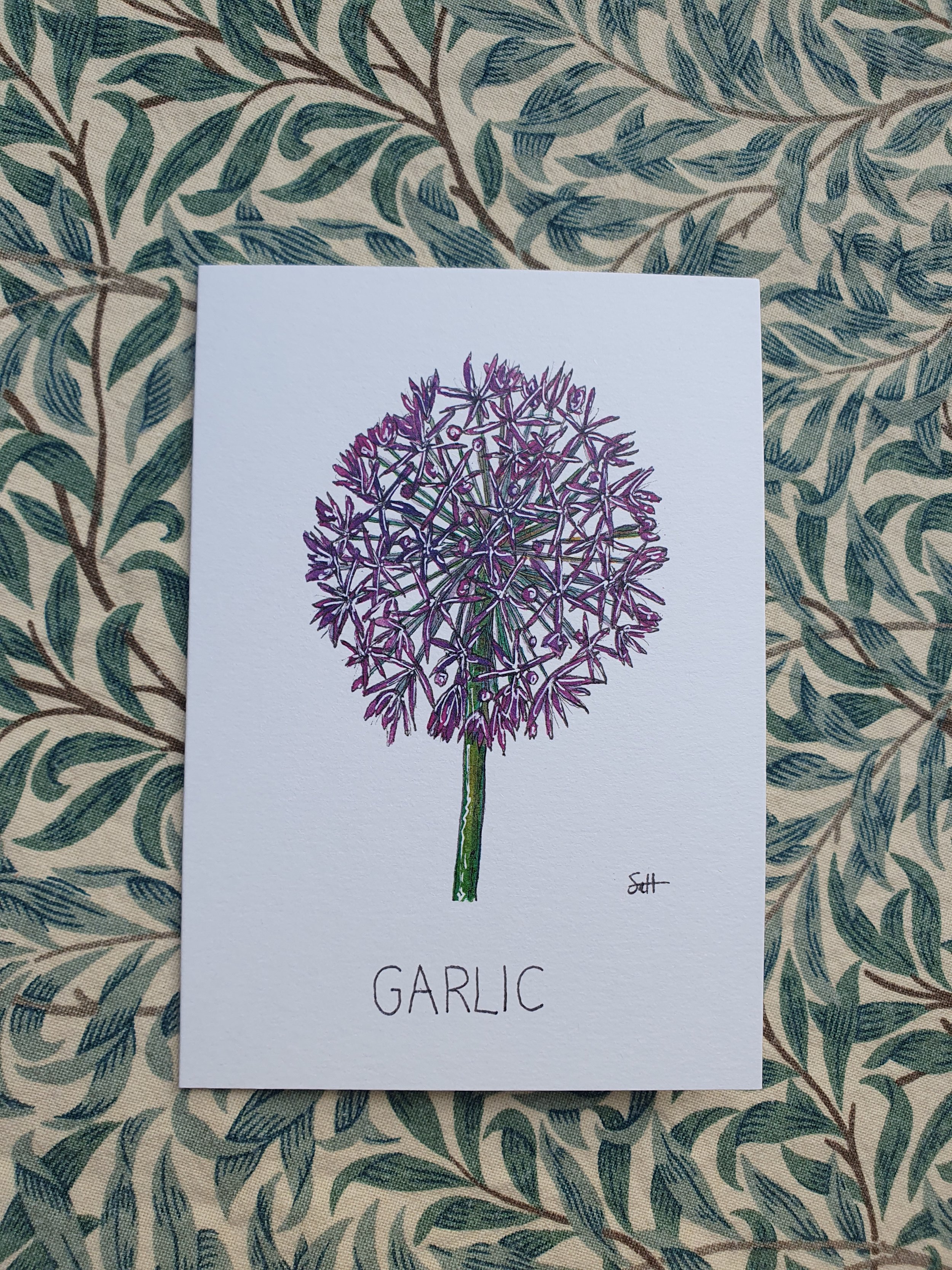 Garlic Greetings Card