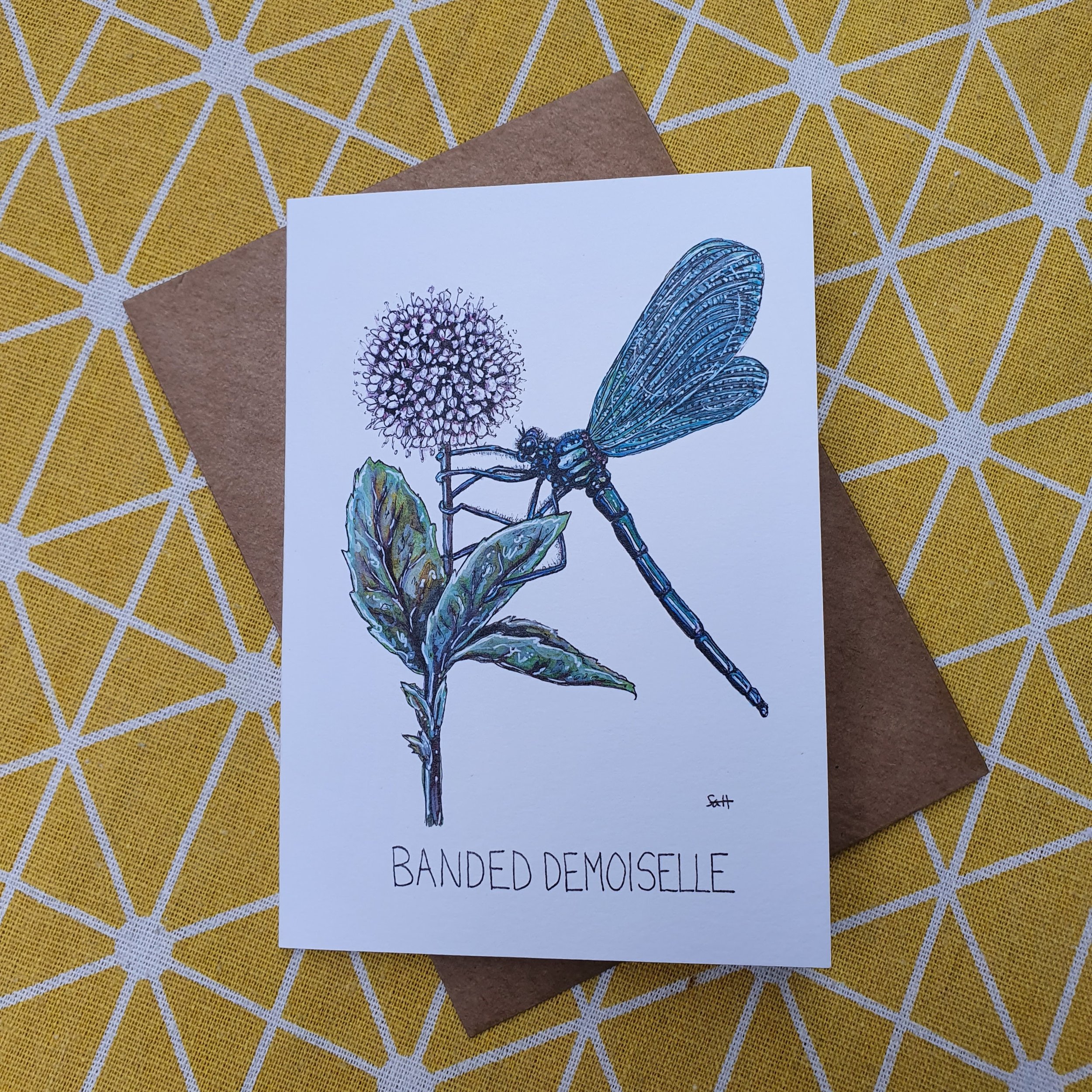 Banded Demoiselle Greetings Card