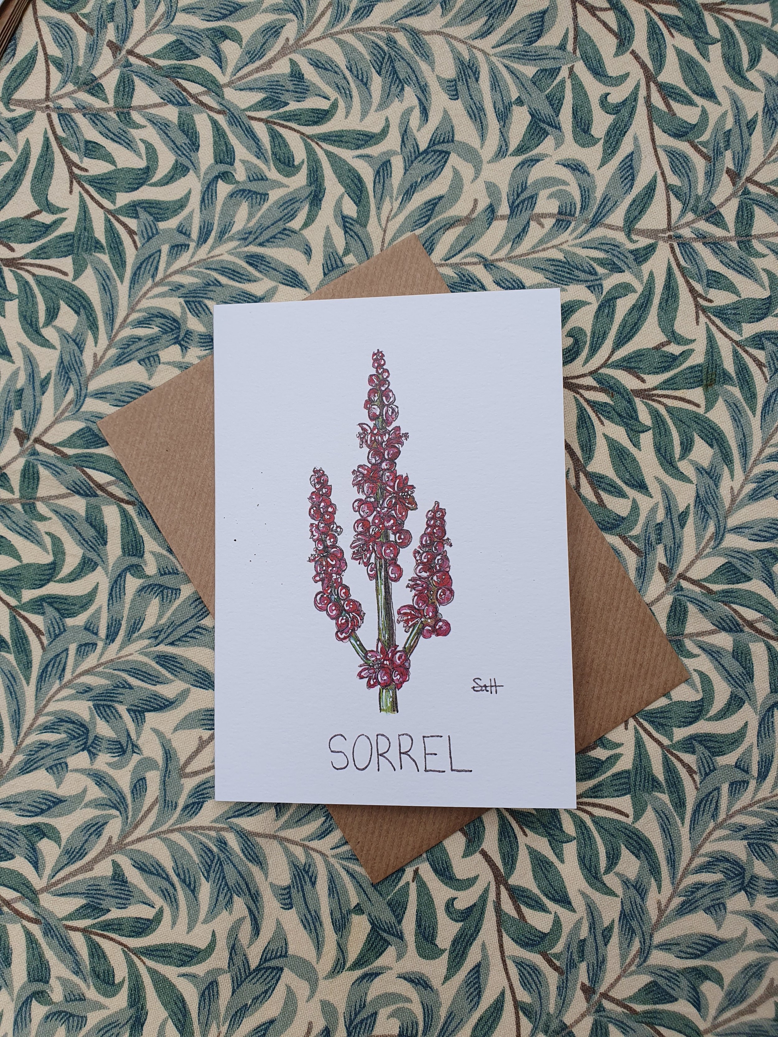 Sorrel Greetings Card