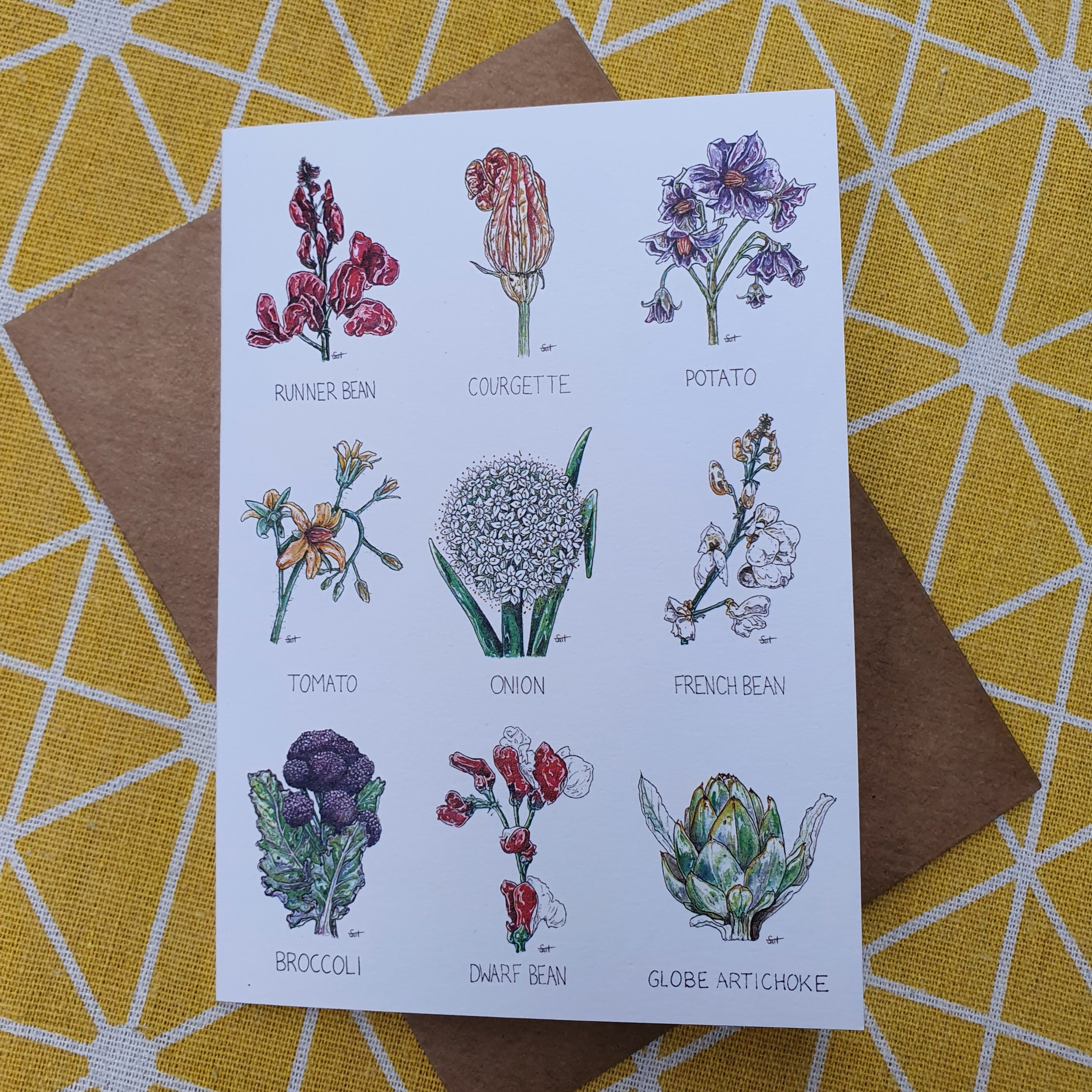 Vegetable Flowers Greetings Card