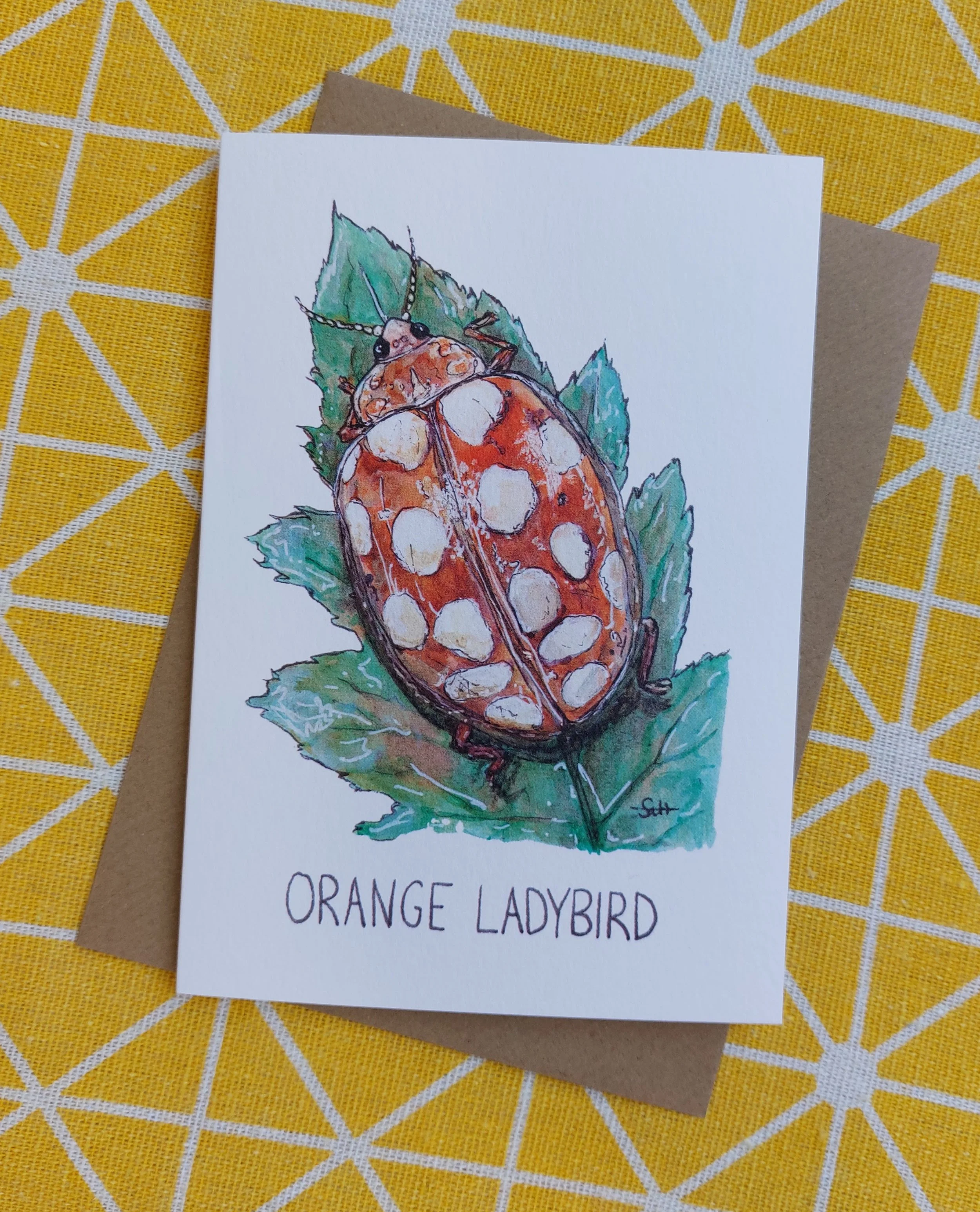 Orange Ladybird Greetings Card