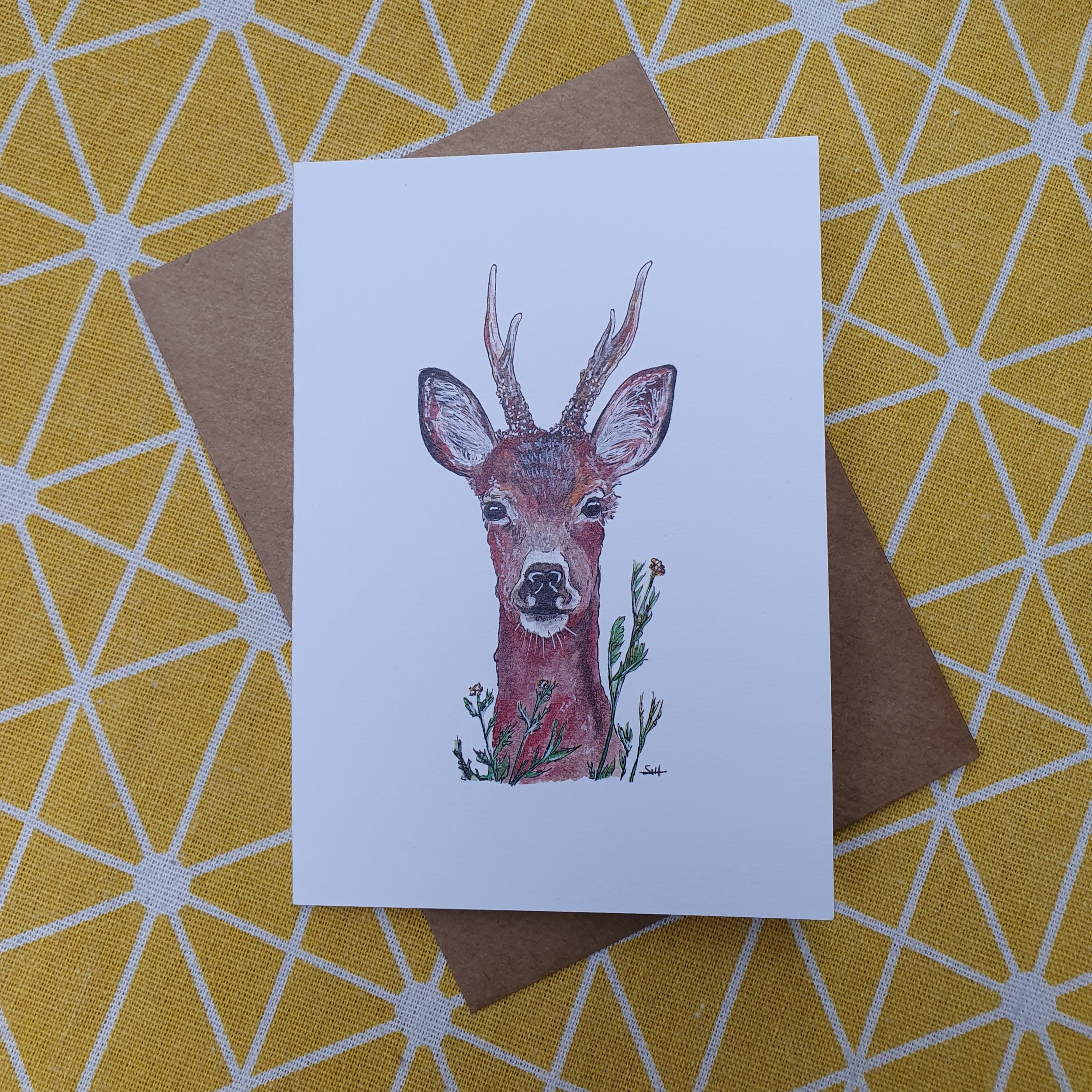 Roe Deer Greetings Card