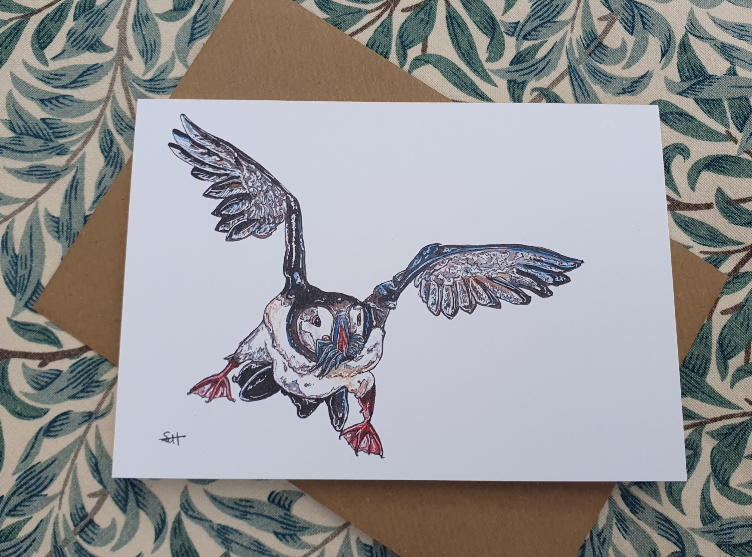 Puffin Greetings Card
