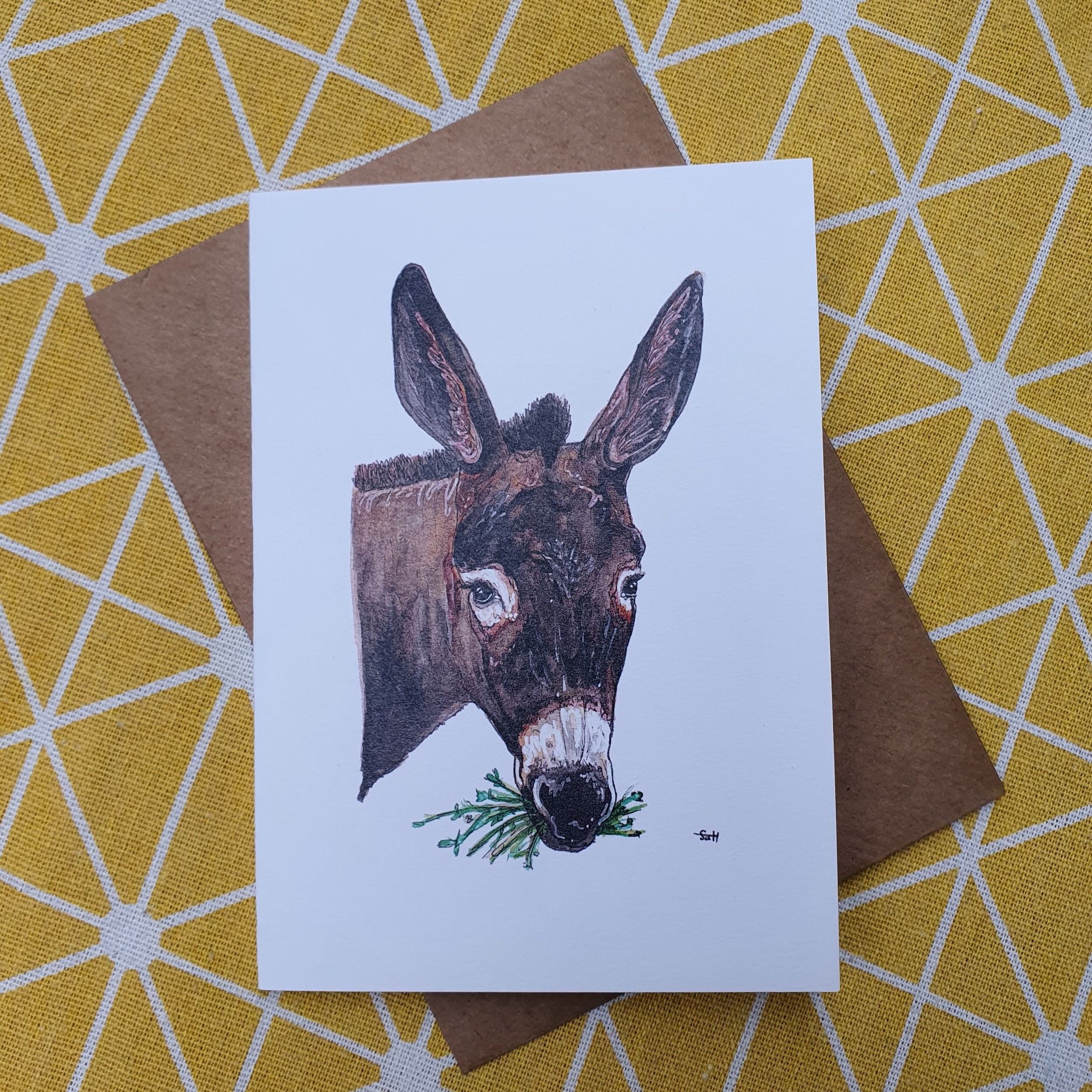 Donkey Greetings Card