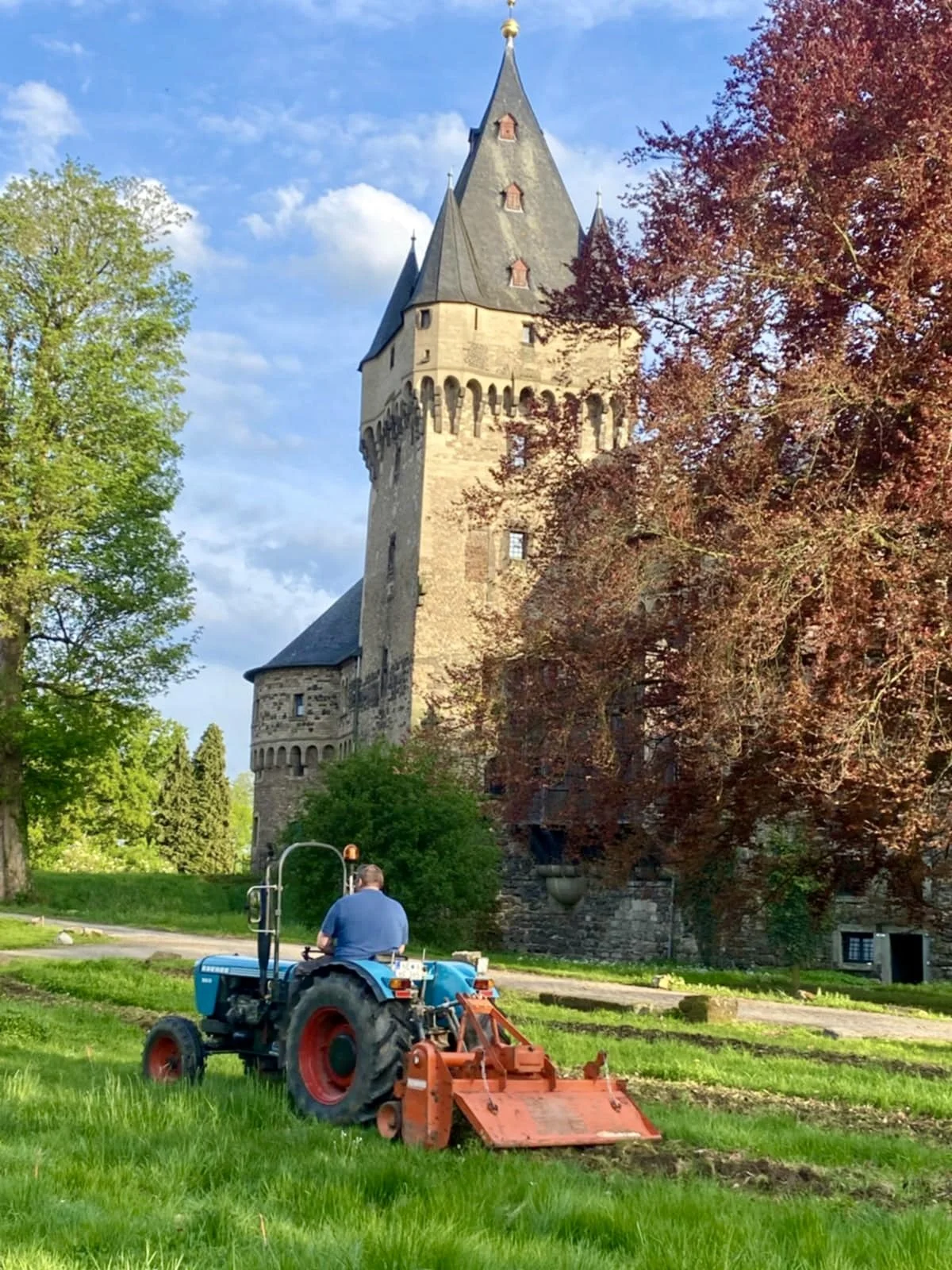 Wildblumenstreifen – Eine neue gestalterische Maßnahme für den modernen Schlosspark