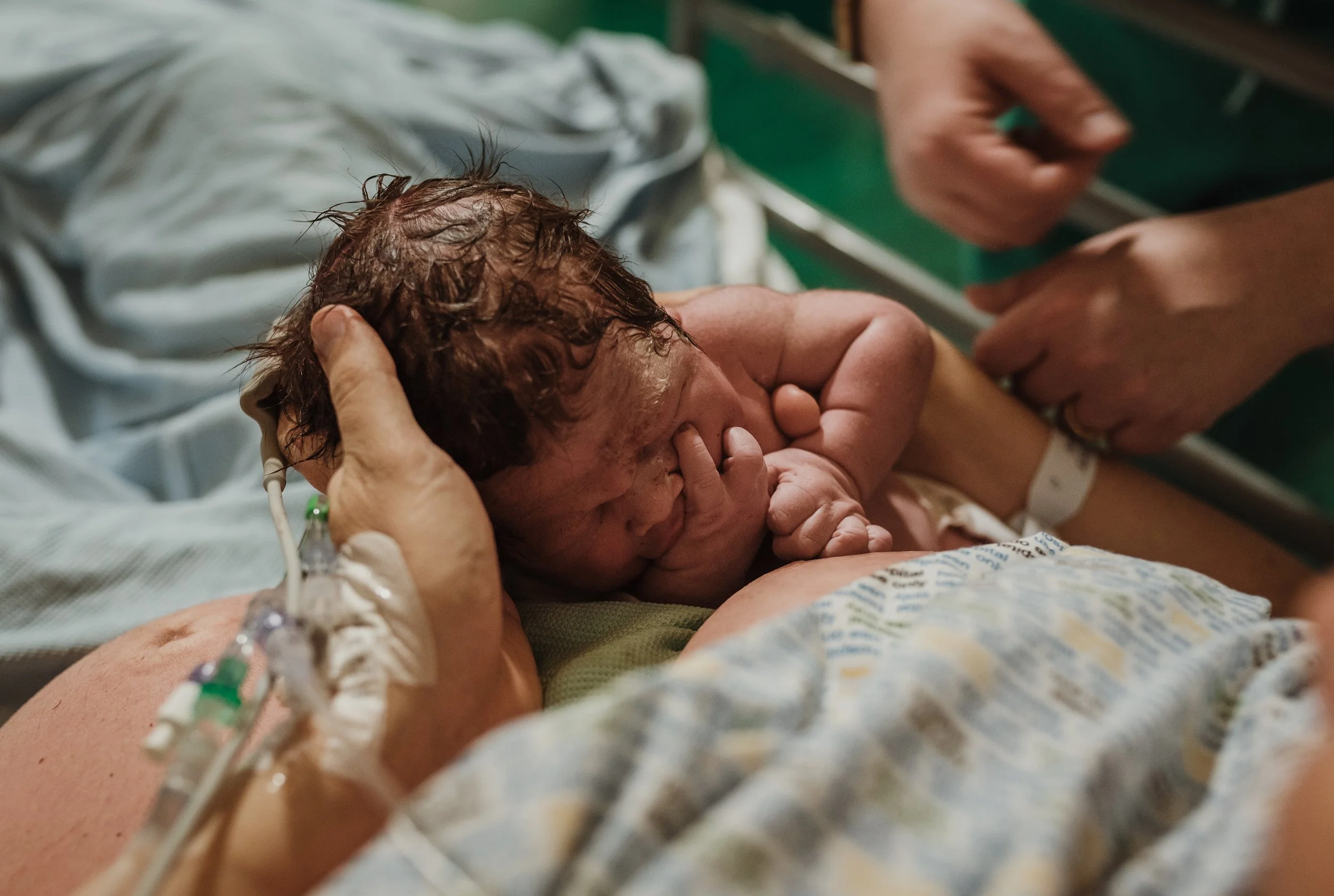 Newborn baby lifted onto mother's chest in the first moments after birth, photographed by Glasgow birth photographer