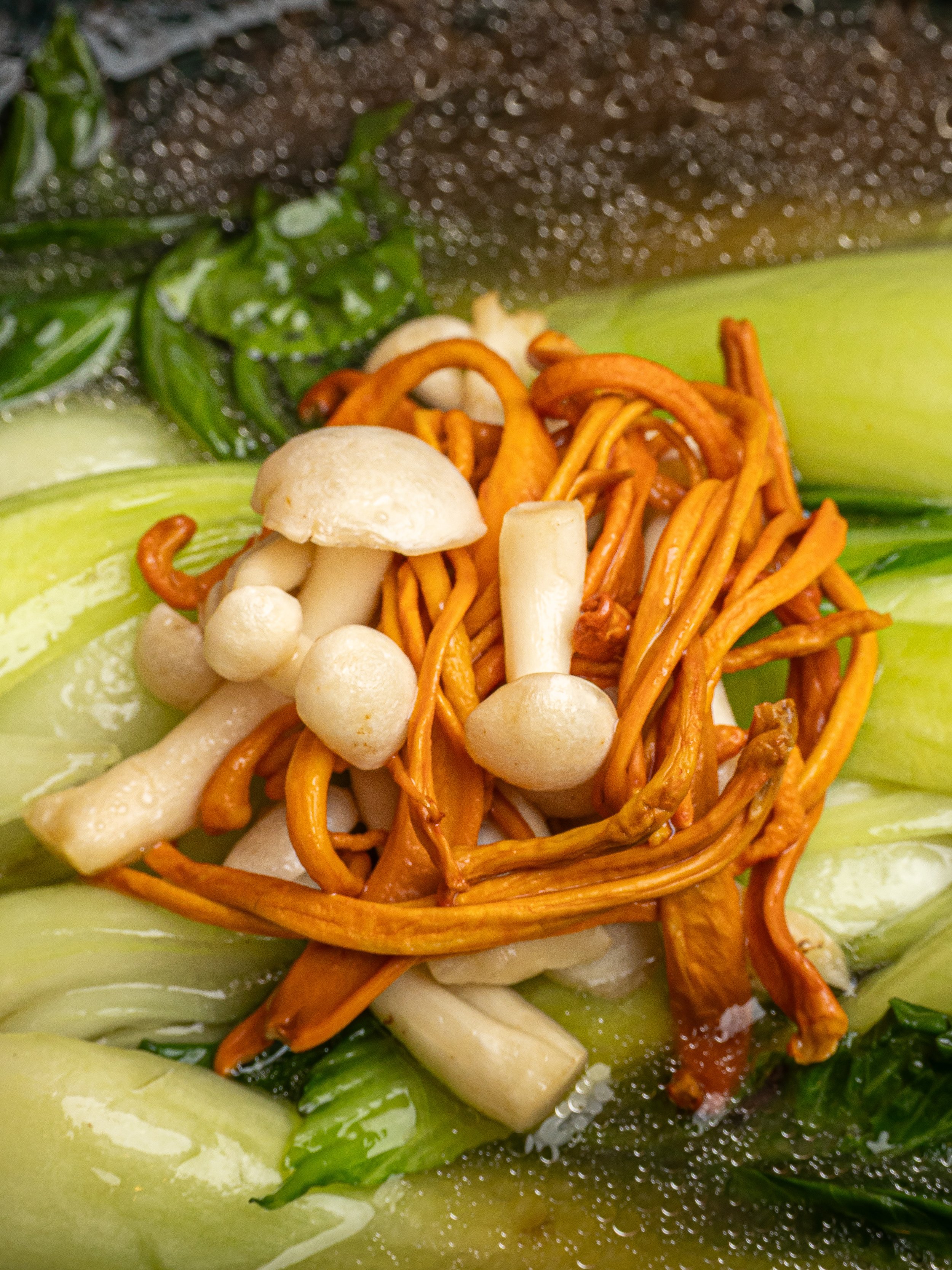 Niu Ko Edited-21.jpeg