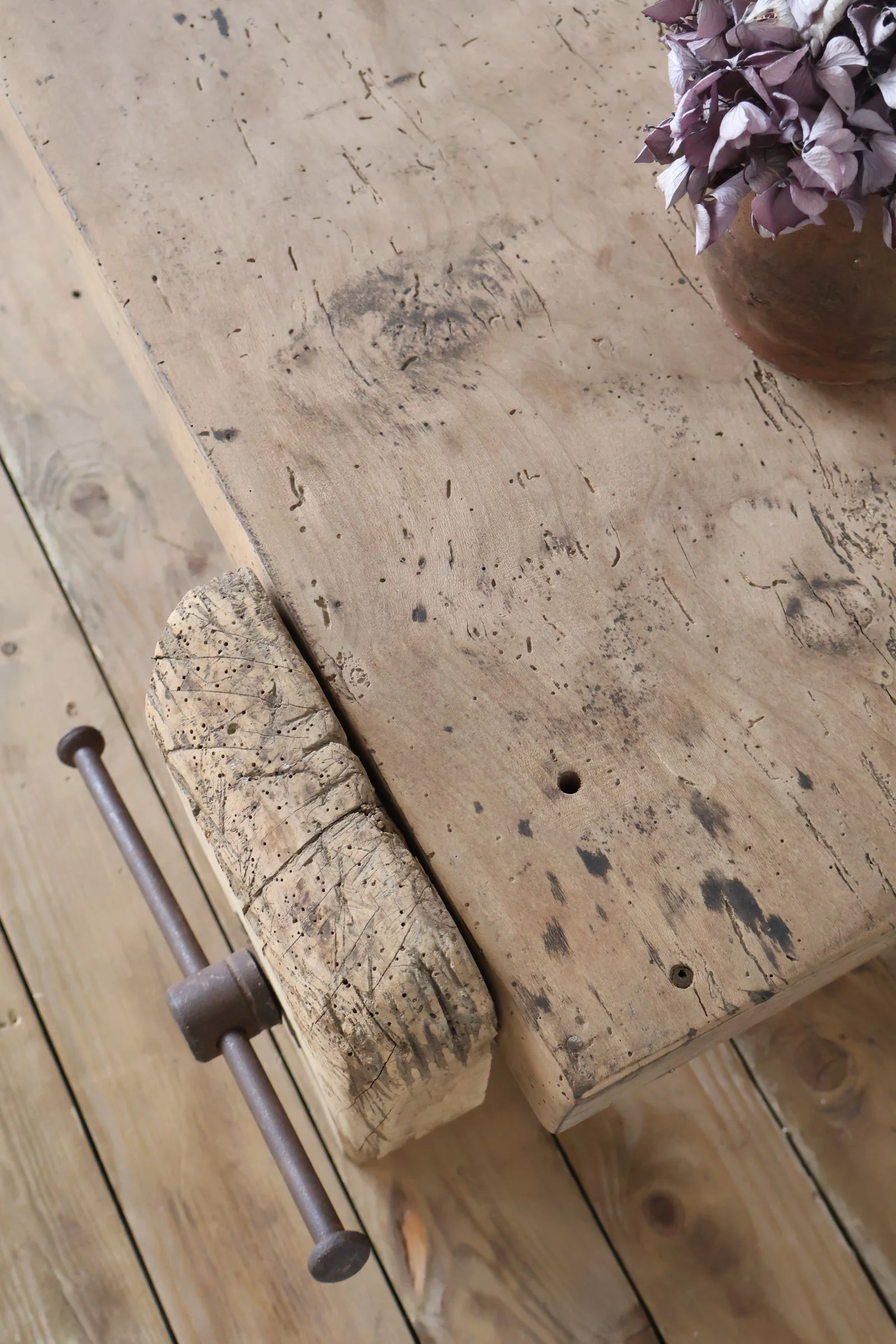 IMG_8064.JPG
