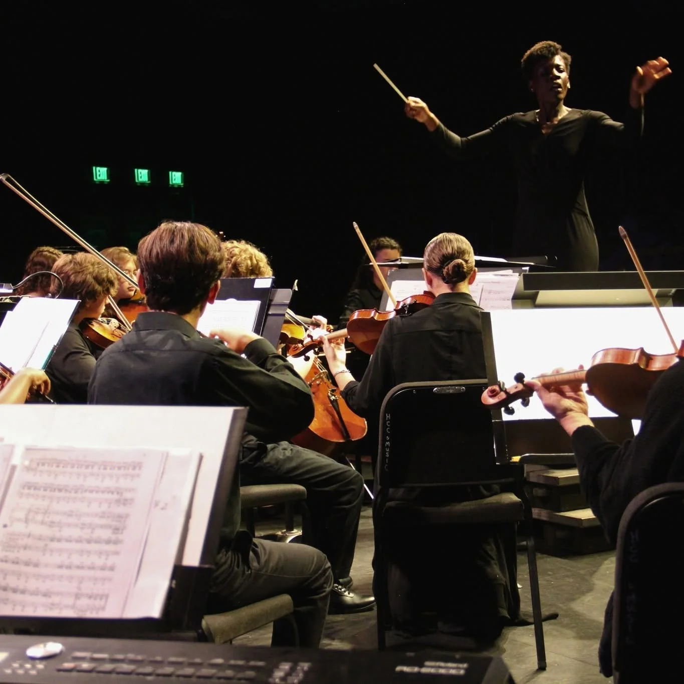 Conducting photo 2.jpg