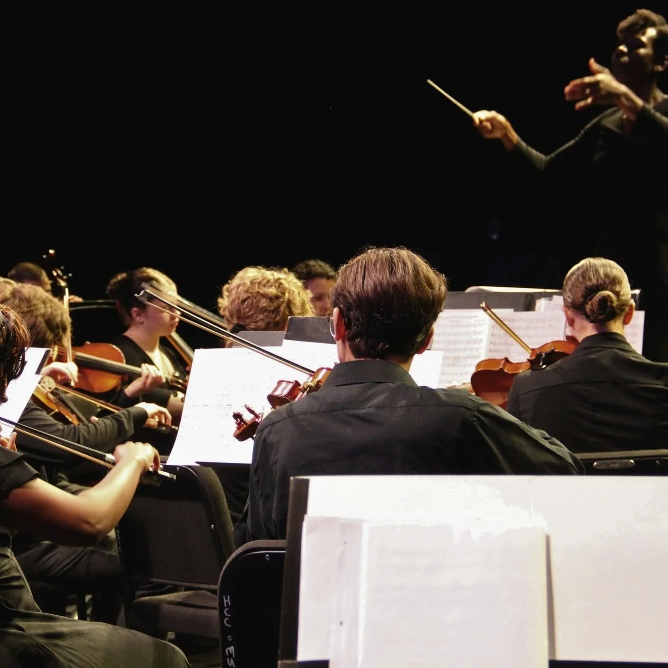 Conducting photo.jpg