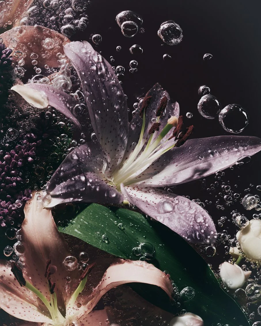 Ki erm&ouml;glicht uns neue Bildstrecken zu erstellen oder vorhandene Strecken mit kreativem Input zu erweitern.
Du m&ouml;chtest mehr &uuml;ber unsere Weiterbildung erfahren? 

Link in Bio. 

@visualplayground.ai @ivonne_veith #kiweiterbildung