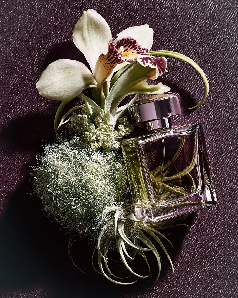 Diesen Donnerstag 19.2. um 18 Uhr werden wir einen Zoom Live Call veranstalten um einen Einblick in unsere KI Weiterbildung zu geben und all eure Fragen zu kl&auml;ren. 

👉🏼 Du m&ouml;chtest dabei sein? 

Zoom Link in der Story am Donnerstag.