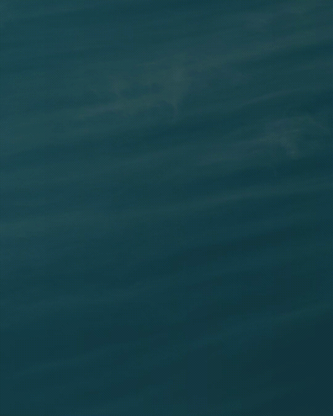 Renviz Logomark Animation MP4.gif