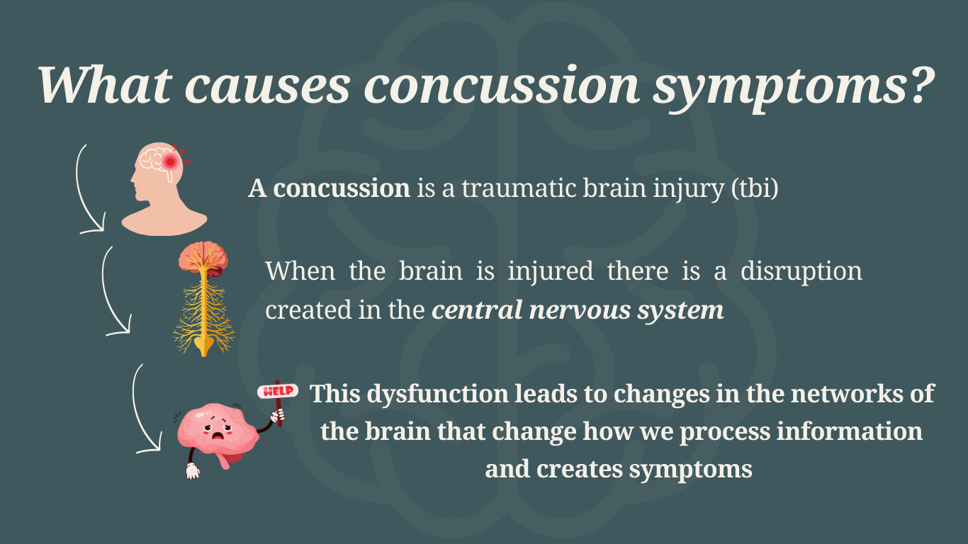Holistic brain based concussion management - SCC NEURO