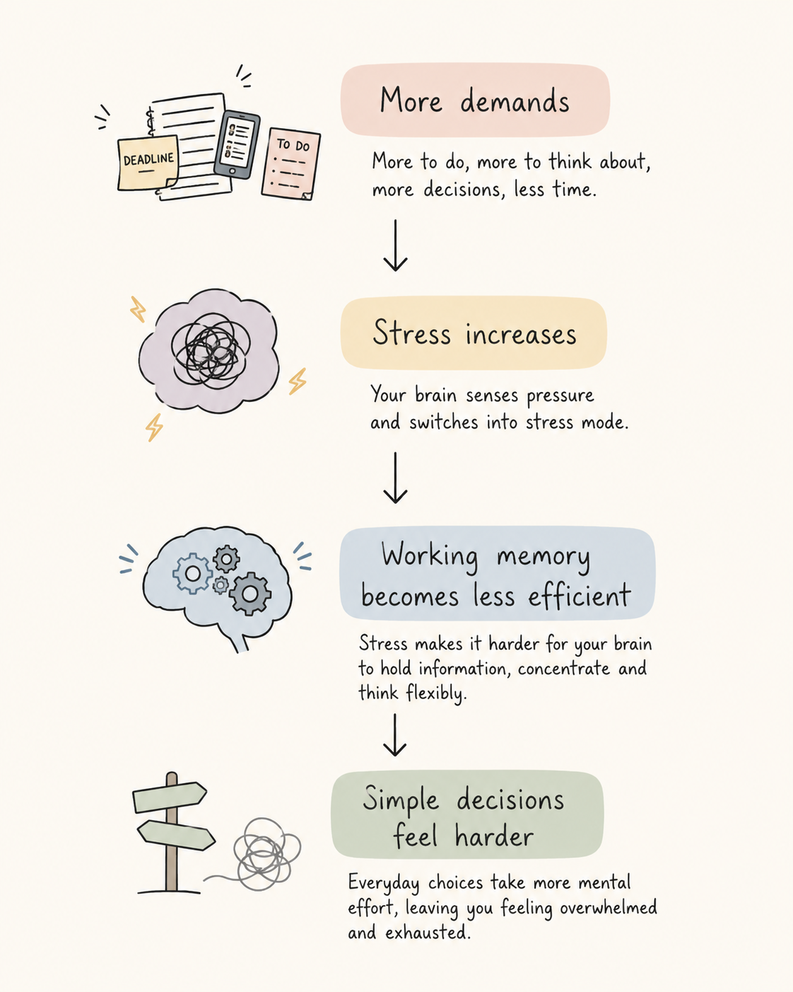 A diagram of how stress affects working memory