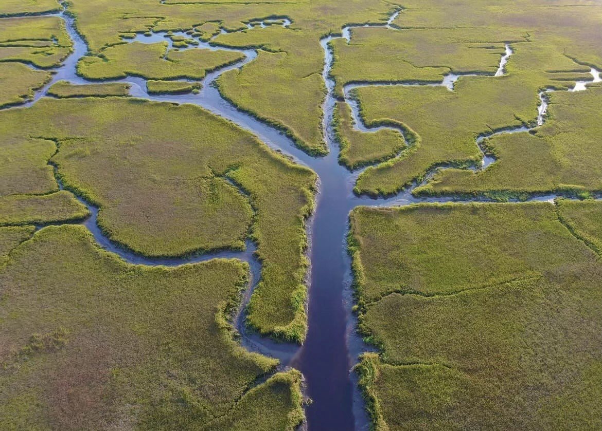 ACE Basin