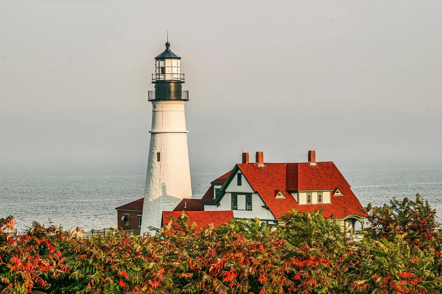 Happy Labor Day, ya&rsquo;ll! 🇺🇸 

As summer winds down and fall gears up, we have a lot to look forward to at Estuary!

We spent our summer digging into our mission, logistics and everything that will make Estuary a brand our friends and neighbors