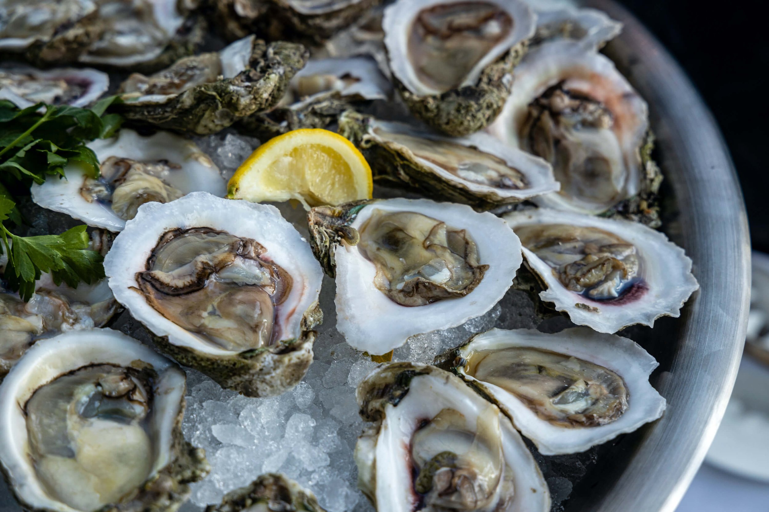 Open oysters on a bed of ice with a lemon wedge and parsley garnish.