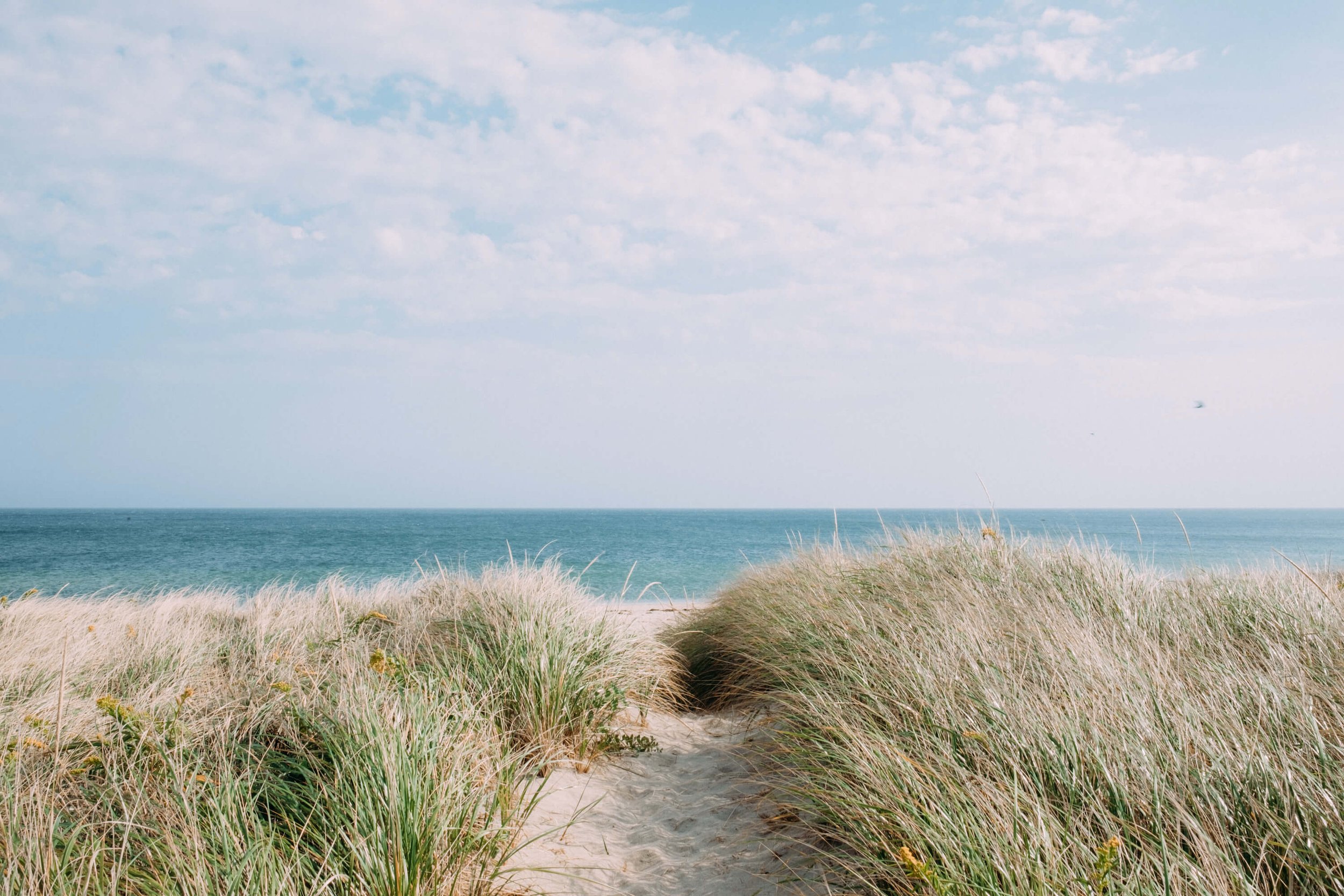 Beach path through sand dunes with grassy vegetation leading to the ocean under a blue, partly cloudy sky.