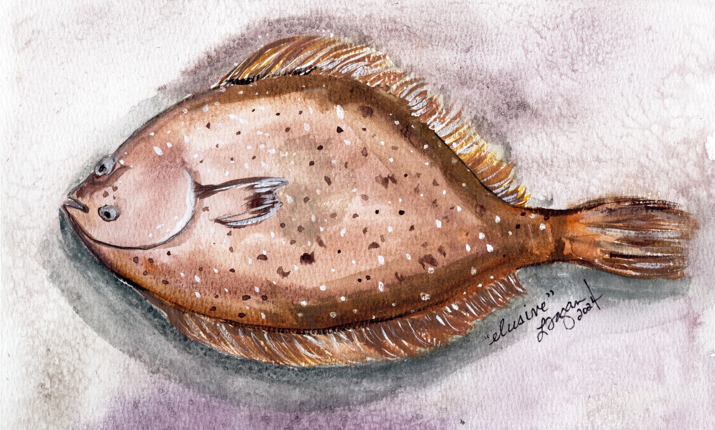 elusive flounder.jpg
