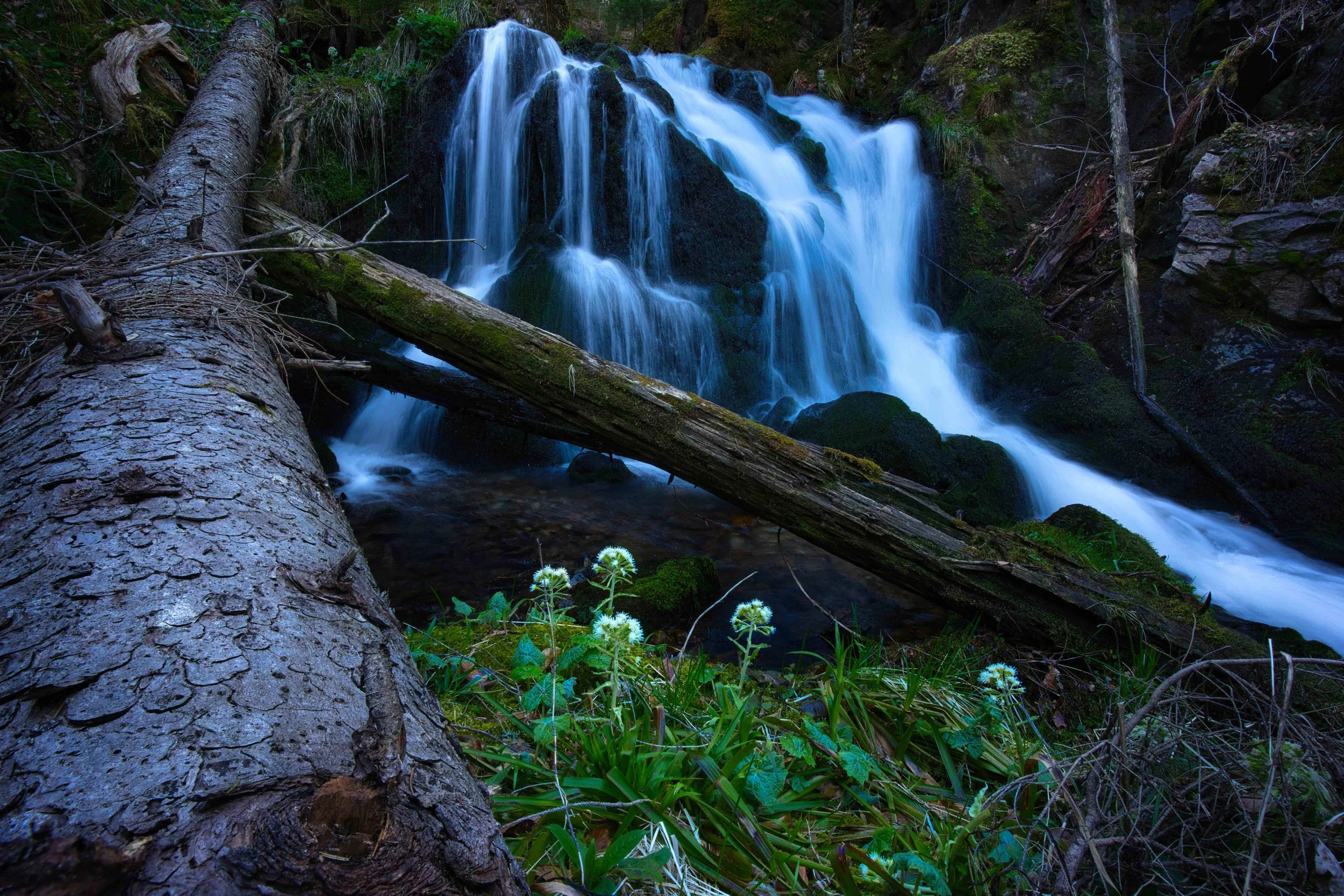 DSC09350_stack.jpg