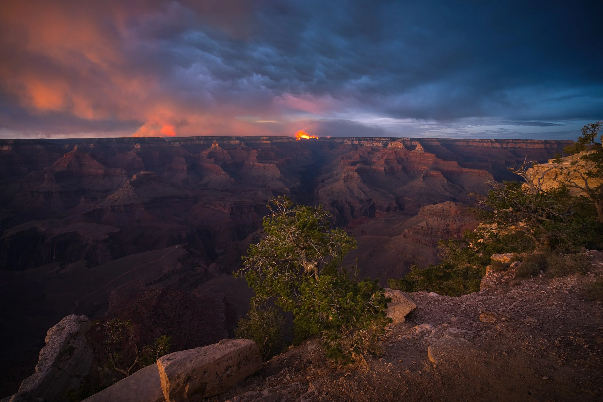 DSC04394_stack (3).jpg