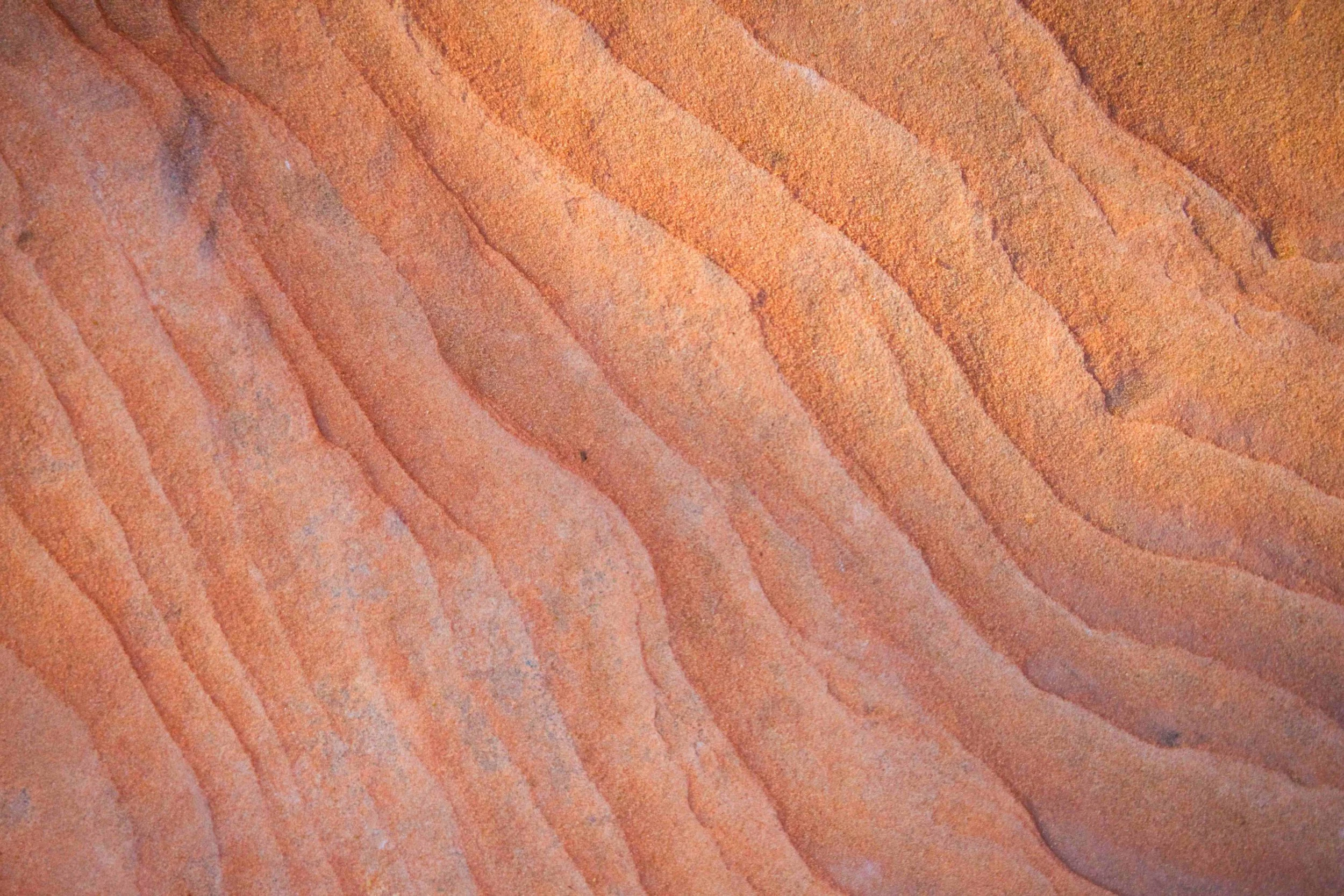 DSC06244.jpg