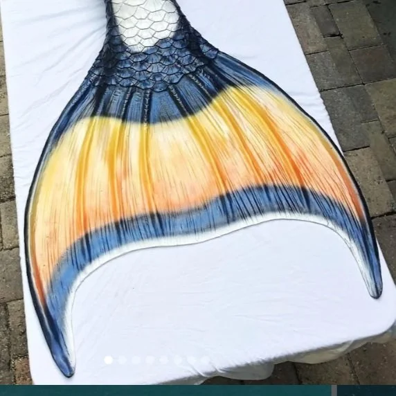 Screen Shot 2025-01-08 at 9.04.26 AM.jpg