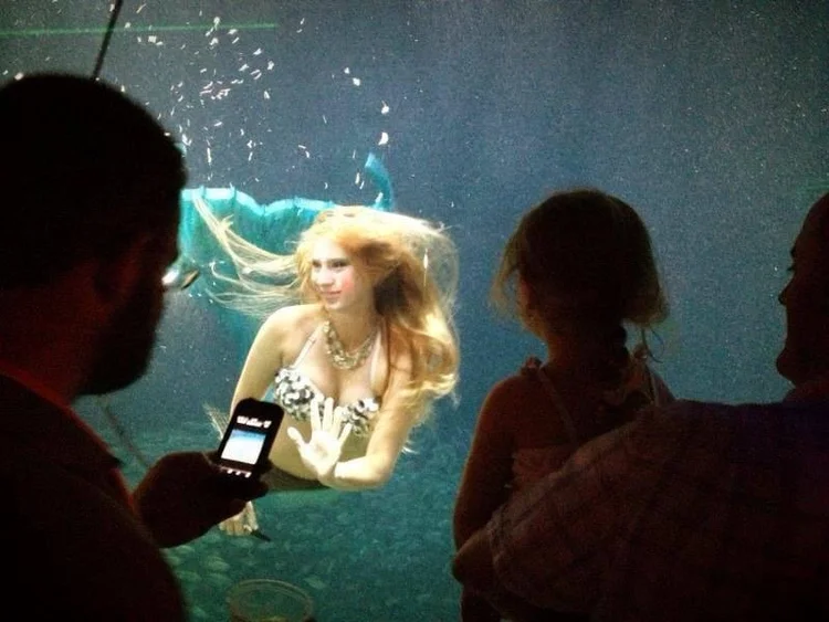 How to Become a Professional Mermaid Your Complete Career Guide ...