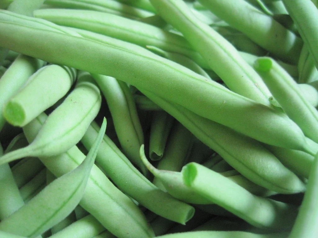beans-green.jpg