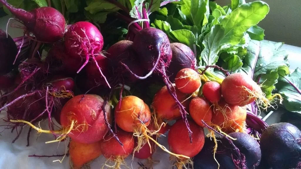 Ode to the Beet