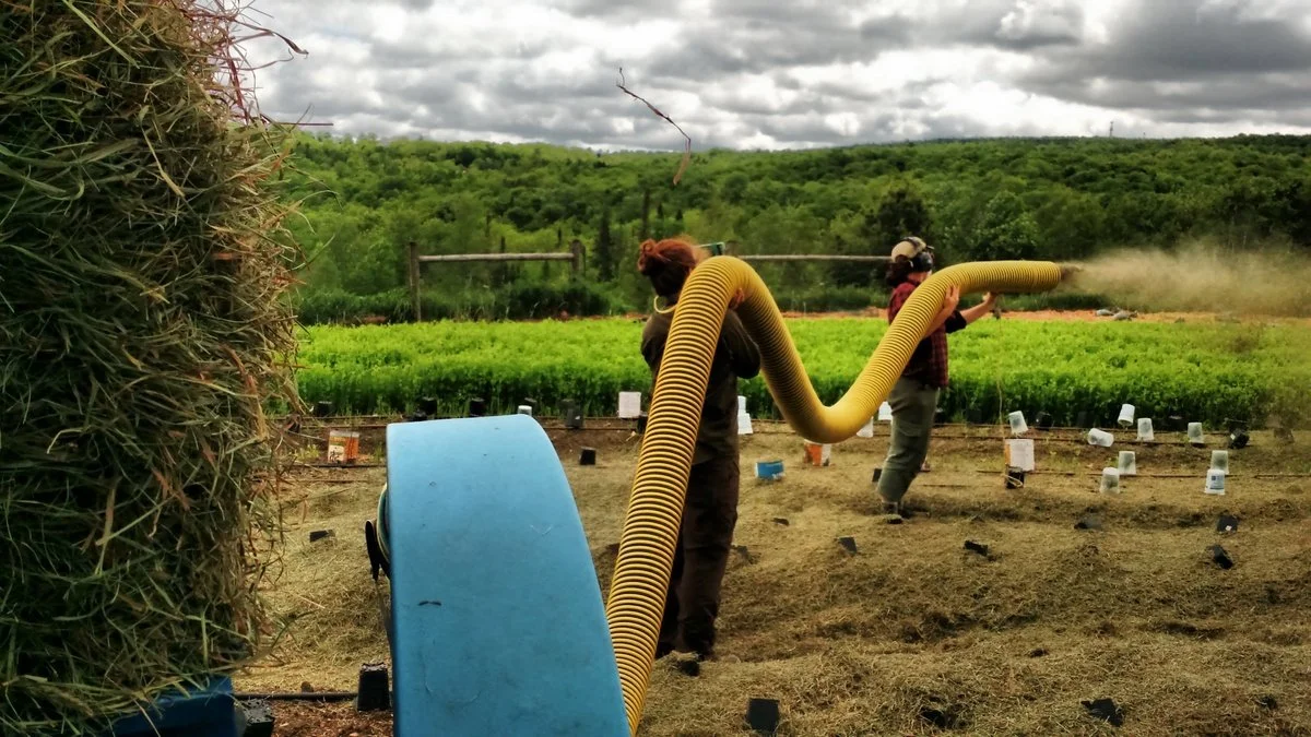 Carbon Farming!