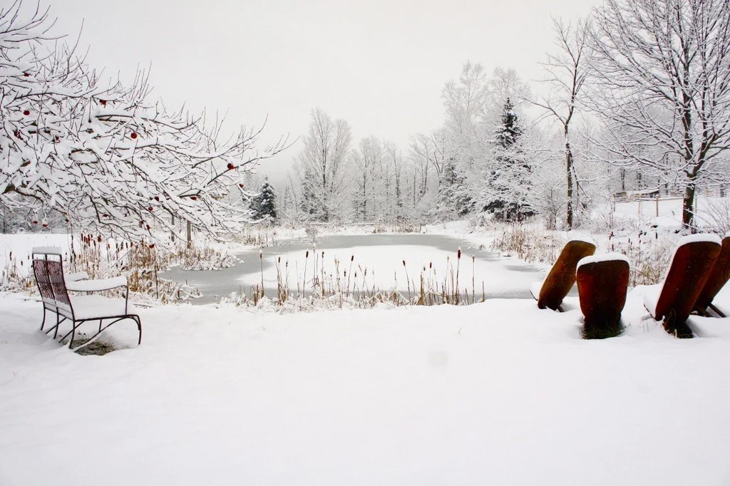 Embracing Winter
