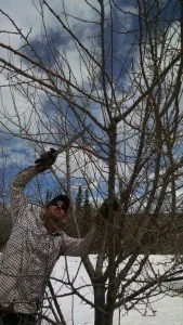 Nicko Pruning