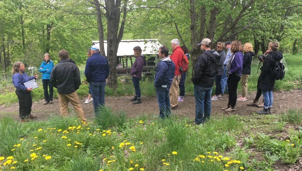 intervale-group-tour-with-Mari-on-pasture-1024x582.jpg