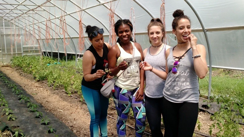 Sharing the Farm: In person & Virtually!