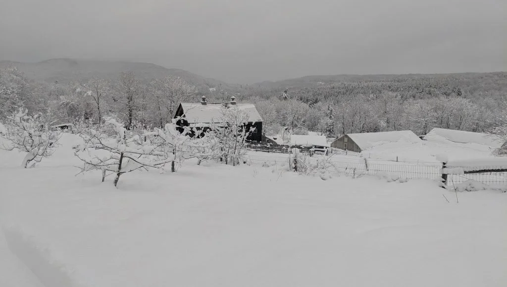 SnowVember