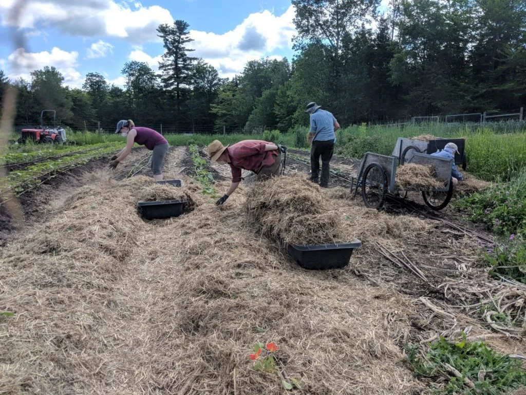 Dignity of Working the Land