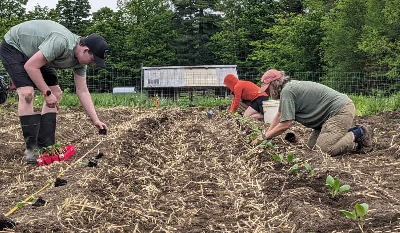 Growing Season Comes on FAST!