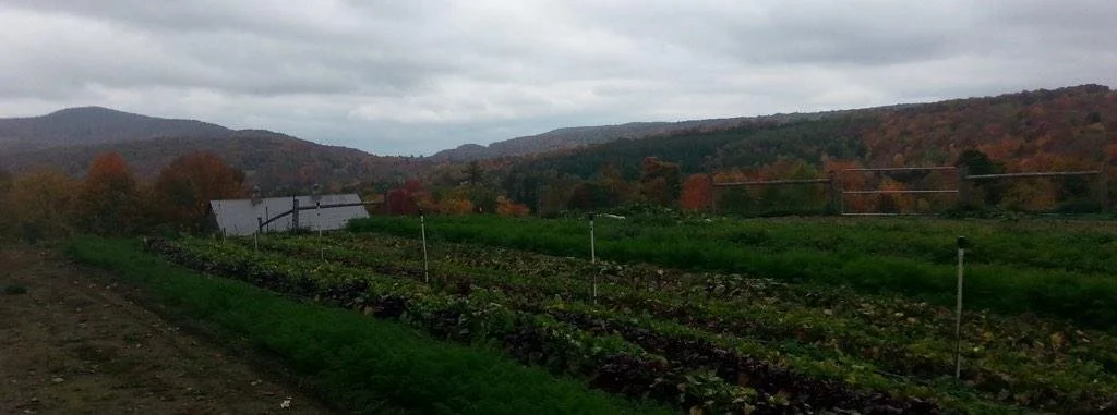 Farm Tours Bring Perspective