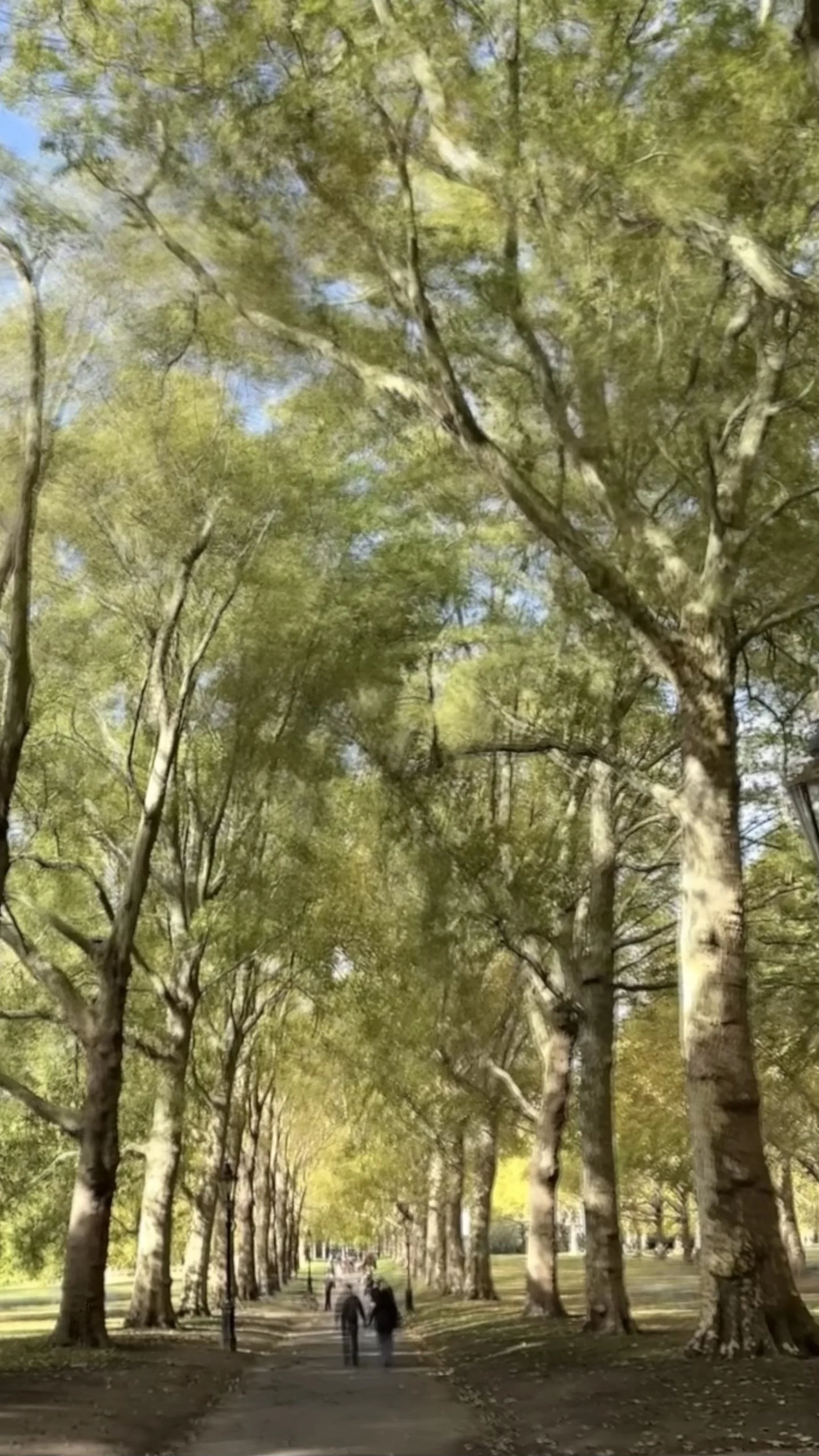 The Green Park - London