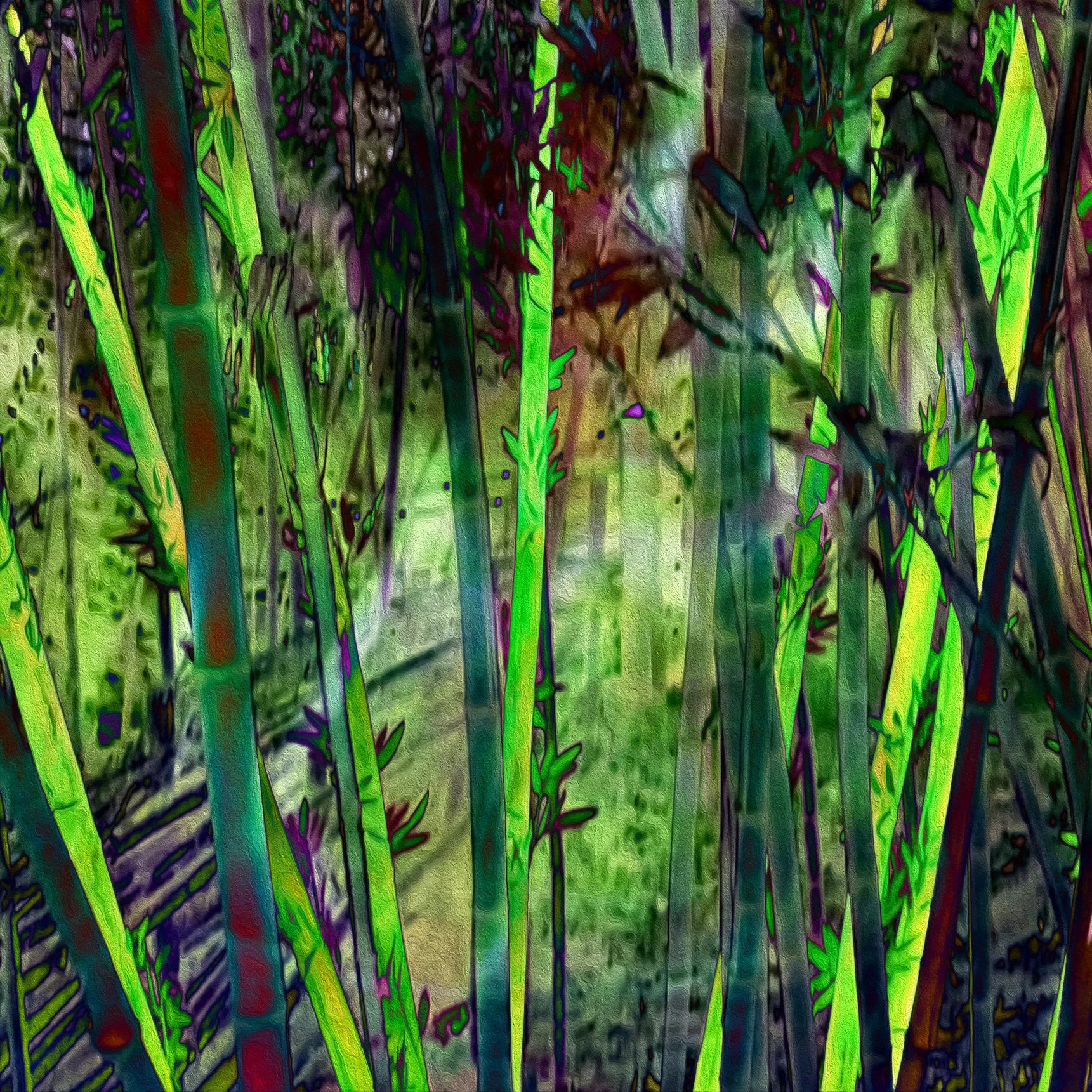 Bamboo Lights